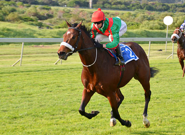 Agra-CTS-June-leadin