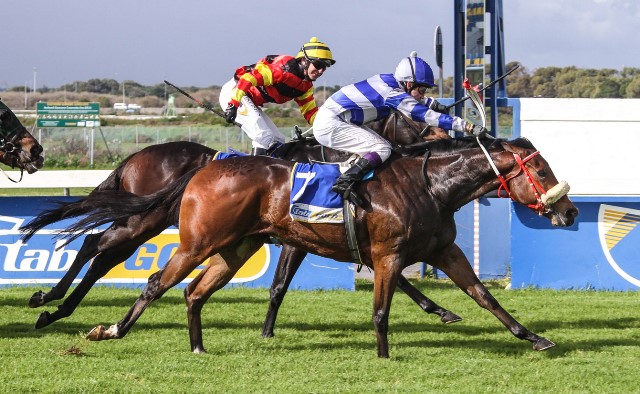 Fairyinthewoods-CTS-June