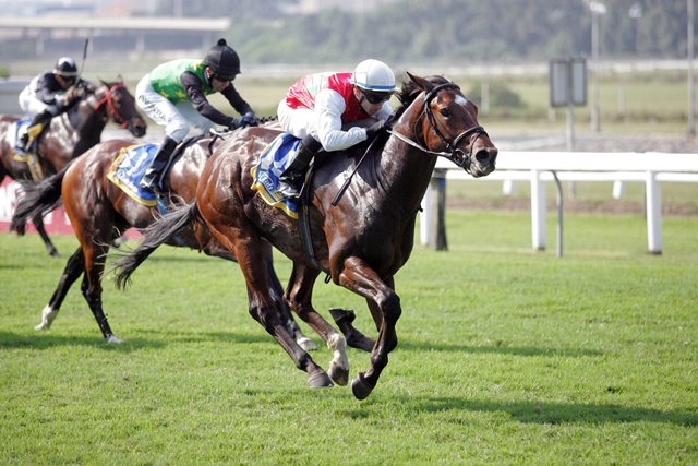 Zambezi-Torrent CTS-June