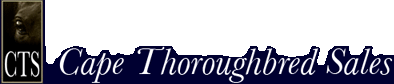 Cape Thoroughbread Sales