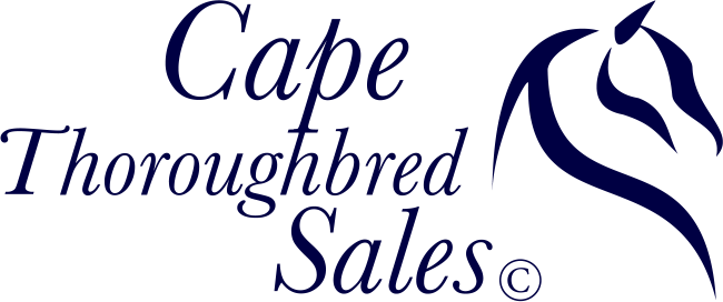 Cape Thoroughbred Sales