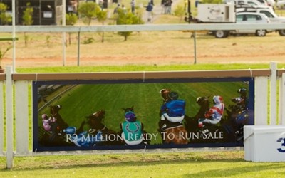 2012 Ready To Run Sale