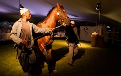 2012 Ready To Run Sale