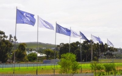 2013 Cape Premier Yearling Sale – Book 2