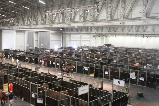 10-midday-and-its-a-hive-of-activity