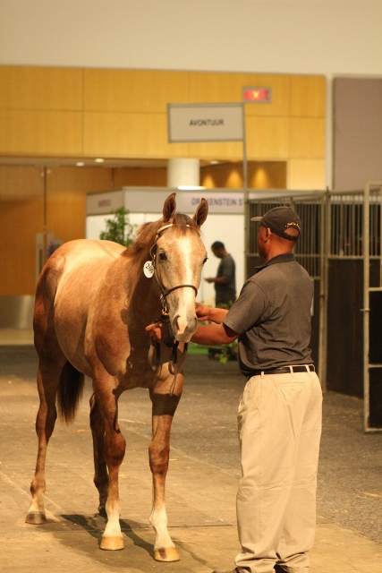 11-so-we-pose-some-more