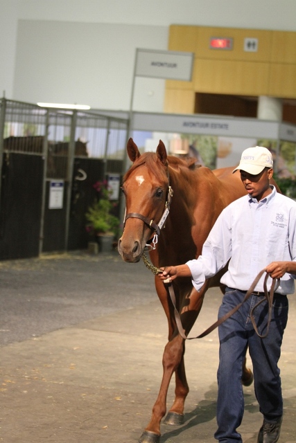 12-and-walk-some-more