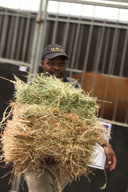 15-before-its-dinner-time