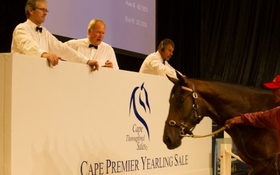 2013 Cape Premier Yearling Sale – Book 1