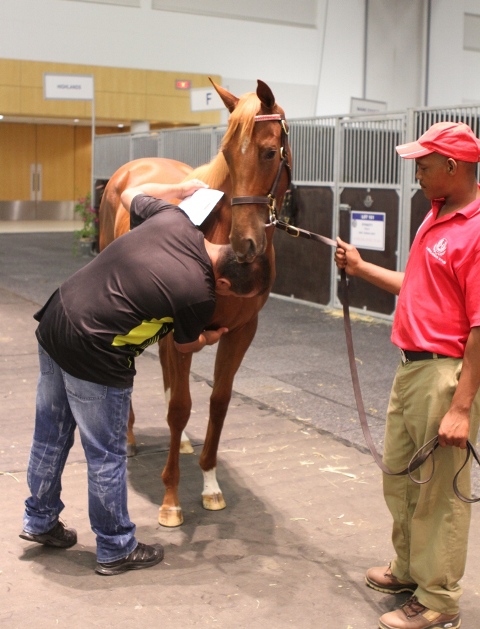 8-before-being-prodded