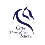 Cape Thoroughbred Sales to host Million Dollar Sales Race