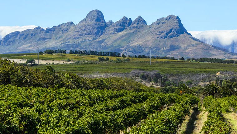 Cape Winelands