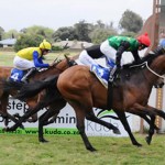 Zambezi Torrent places in Gr3. Matchem and the weekend round up