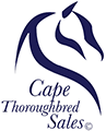 Cape Thoroughbred Sales