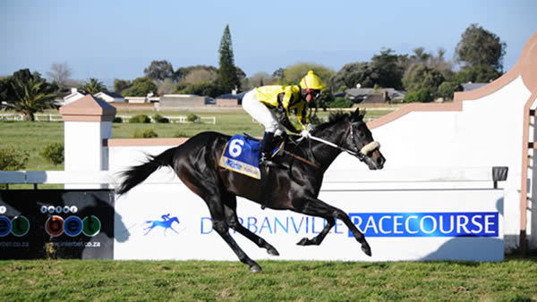 25th – 30th September Graduate Round Up 25th – 30th September Graduate Round Up