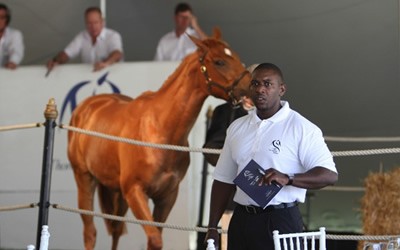 2013 Ready To Run Sale