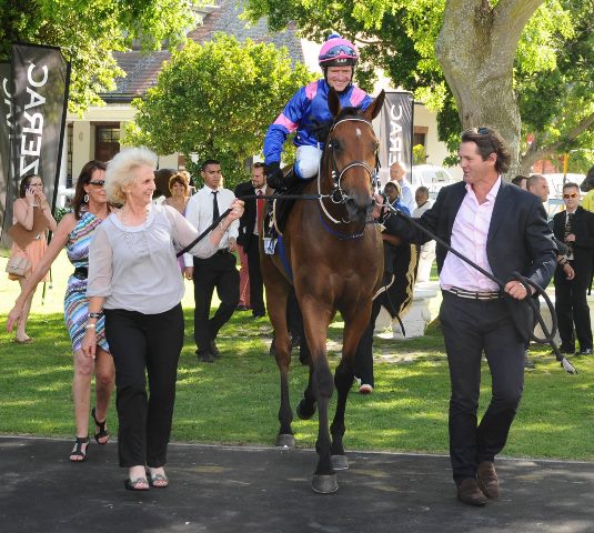 Captain_America-CTS-Nov-leadin