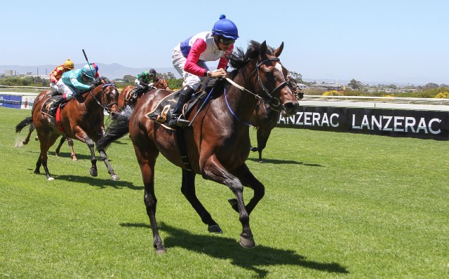 Helderberg_Blue-CTS-Nov