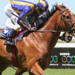 CPYS Graduate Success : 25 – 30 November