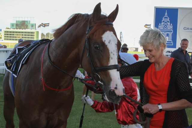 Celtic-Jet_CTS-Jan-head