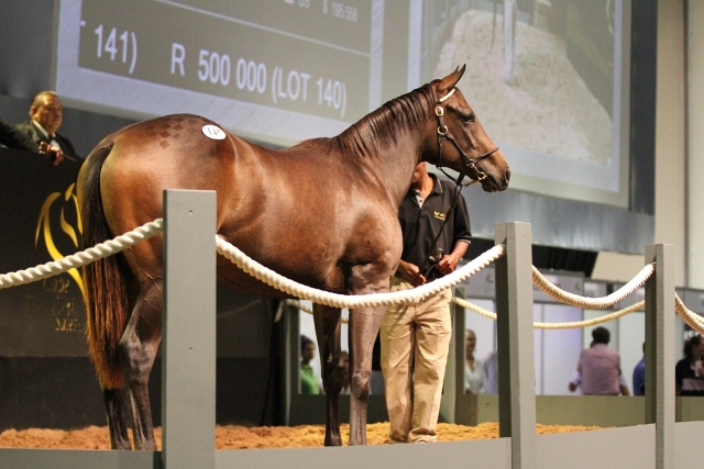 Lot 145 standing LK