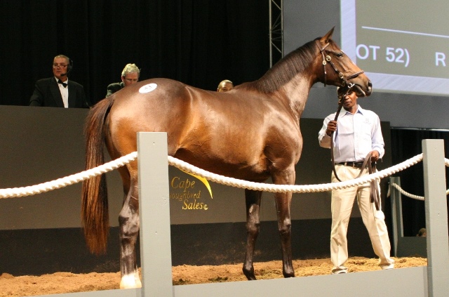 Lot 53 Standing LK