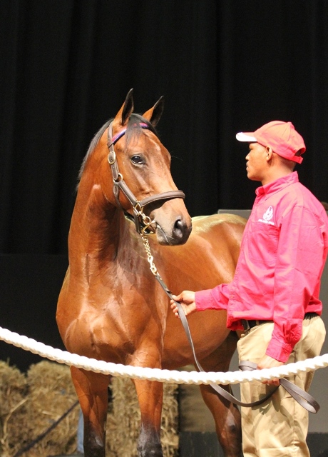 Lot 89 Let It Rain LK